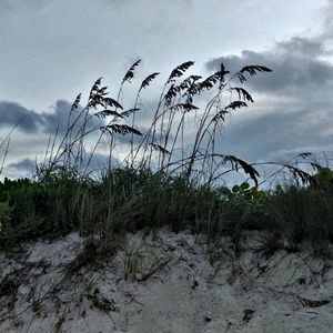 Meet your Posher, Berneice